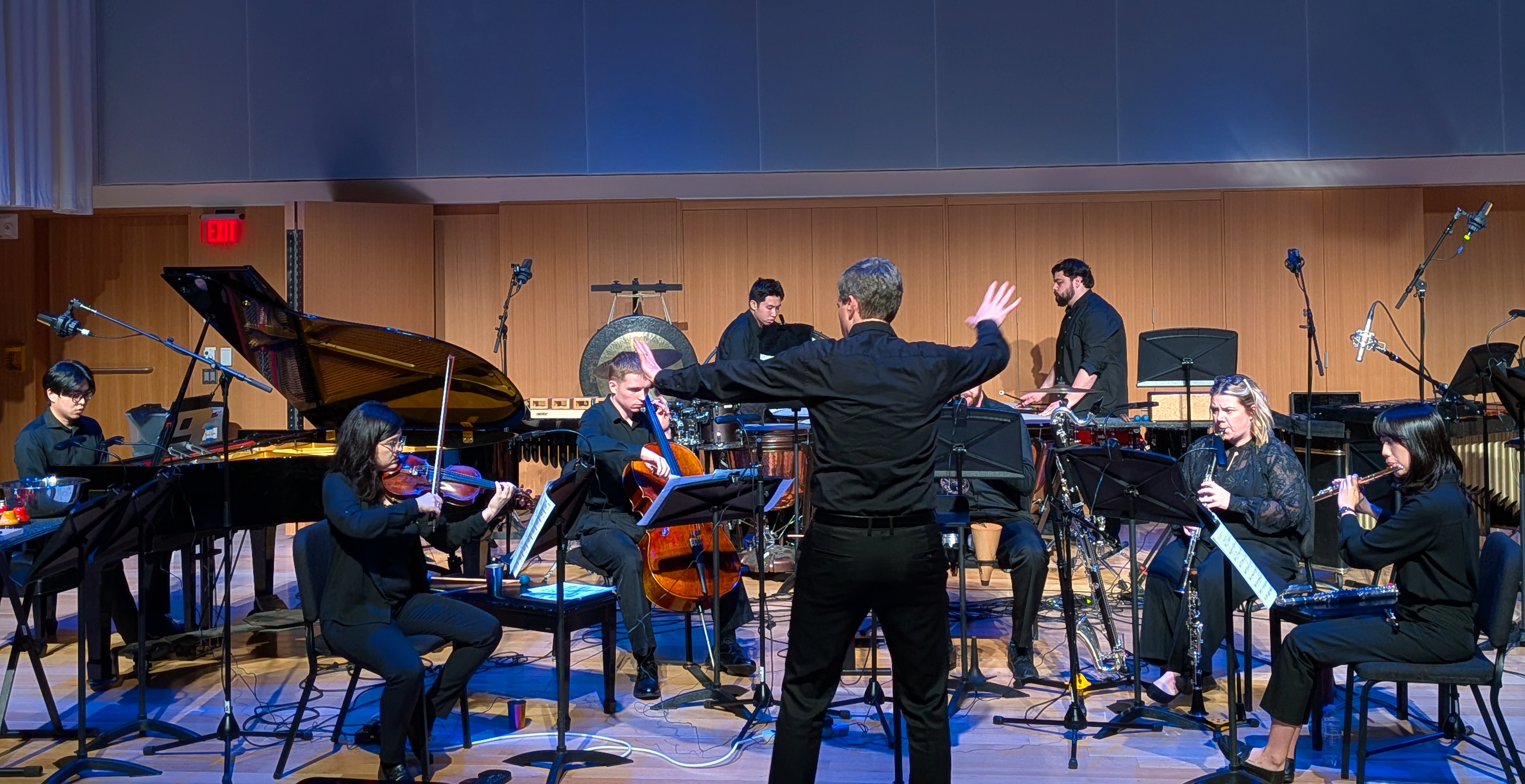 A chamber ensemble in a concert hall with a conductor leading musicians playing various instruments.